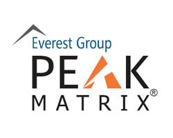 Incedo everest peak matrix 2021